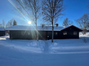 Charming Mountain Retreat Near Ski Trails and Beitostølen Center